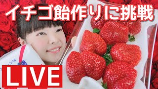 イチゴ飴を作って食べる！！【彩羽真矢LIVE配信501回目】
