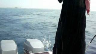 صيد السمك بالجر ( المجرور )