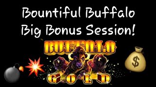Bountiful Buffalo Big Bonus Session ???....#Buffalo Gold