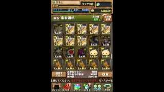 【パズドラ】究極島龍・ユグドラシルに究極進化