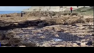 Экологическая диверсия или "несчастный случай"?