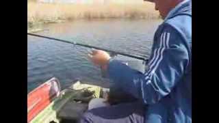 Карась весной на реке Крынка