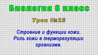 Биология 8 класс (Урок№25 - Строение и функции кожи. Роль кожи в терморегуляции организма.)