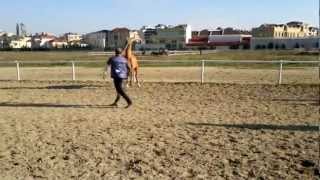 Карабахские Лачын и Хан-Хан 03.01.2013