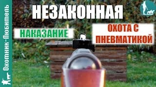 Незаконная охота с пневматикой! Какое будет НАКАЗАНИЕ?