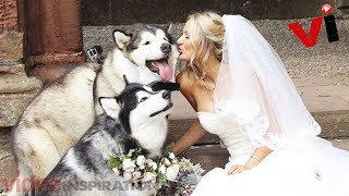 Couple Makes Their Dogs Best Man And Maid Of Honor For Their Wedding And It’s Too Cute