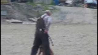 СОРЕВНОВАНИЯ 15 ИЮНЯ 2013г.(малинуа Акара ЗКС)