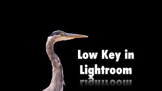 Lightroom Low Key Tutorial and more