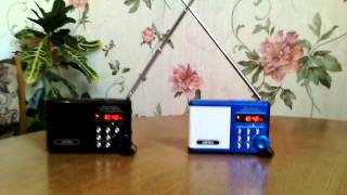 Perfeo Dual Band Sound Ranger pf-922