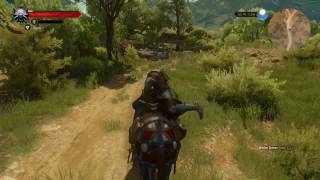The Witcher 3 : B&W [AMD PHENOM II X6 1090T GTX 1060 6GB]#2
