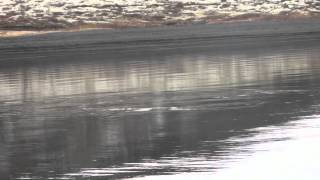 Fly fishing in Iceland "Gudmundur goes fishing 1"