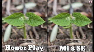 Huawei Honor Play VS Xiaomi Mi 8 SE || Camera Comparison #5 || Tech Review A2Z ||