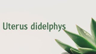 Uterus didelphys | Symptoms | Causes | Treatment | Diagnosis aptyou.in
