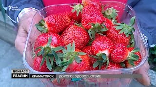 Крым, Луганск, Краматорск. Где самая дорогая клубника? | «Донбасc.Реалии»