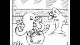 Phylum Mollusca, Class Cephalpoda, Squids & Octopus"