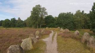 Glaner Braut | Pestruper Gräberfeld | Oldendorfer Totenstatt | Straße der Megalithkultur
