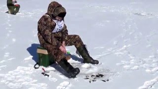 Озеро Михайловское Тверская область. "Рыболов-2016" Озерчане соревнуются