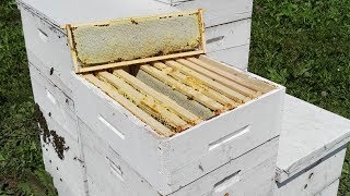 Самая быстрая сборка корпусов на 145 рамку