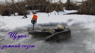 Ловля щуки зимой, щука на жерлицы  видео отчот 2015  Pike fishing winte