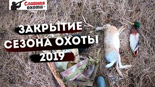 Как я закрыл сезон охоты на Кубани 2019\\Славная Охота