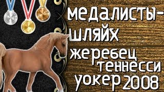 медалисты-шляйх МОДЕЛЬНЫЙ ОБЗОР ТЕННЕССИЙСКИЙ ПРОГУЛОЧНЫЙ ЖЕРЕБЕЦ 2008
