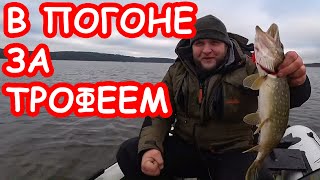 В погоне за трофеем. На что ловить крупную щуку. Ловля щуки зимой на спиннинг. Рыбалка 2020