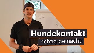 Hundekontakt richtig gemacht: So verträgt sich dein Hund garantiert mit JEDEM Hund!