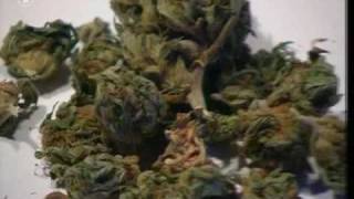 Die Bekiffte Republik - Cannabis: Illegal, Legal, egal? P.1