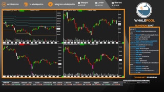Whalepool Live Bitcoin / Cryptocurrency Trading Stream 24/7/365