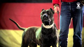 Swiss & Die Andern - Schwarz Rot Braun