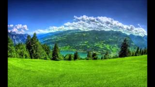 Aleluia-Rugul Aprins (Fratii de la Toflea)  2013