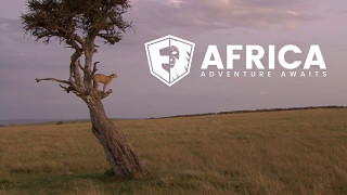 Africa - Adventure Awaits with Epik Escapes