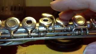 About Flute: Adjustment Screws (20130729AdjustScrews)