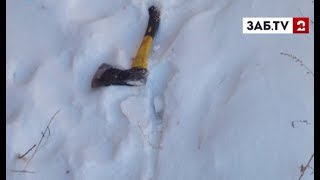 Напавшие на школу в Бурятии отрезали топором палец семикласснице и порубили еще 6 человек
