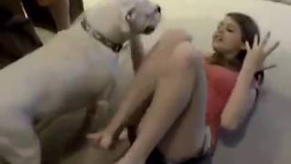 Собака пристаёт к девушке.