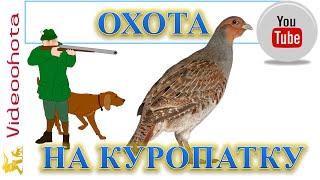 Охота на куропатку! Videoohota