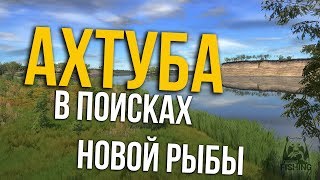 РУССКАЯ РЫБАЛКА 4. Ахтуба - В поисках новой рыбы