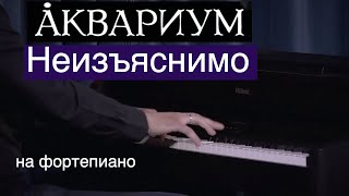 Аквариум - "Неизъяснимо" / Евгений Алексеев, концерт в Екатеринбурге