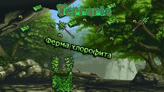 Как сделать ХЛОРОФИТОВУЮ ФЕРМУ в Terraria.(Android/IOS/PC)