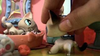 LPS Irmãs - ep. #9