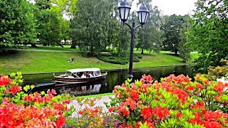 Raimonds Pauls - Stunningly Beautiful Music