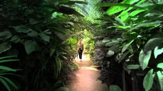 twinsmatic - Sequential (Official Video)