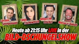 Tanja Tischewitsch, Julian F.M. Stoeckel, Carsten Spengemann, in der BILD-Dschungel-Show 27.01.17