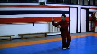 Antonio Cirre, forma 10 movimientos estilo yang