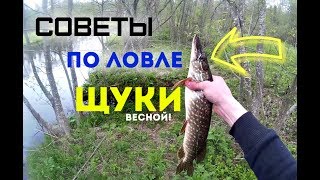 ? Некоторые советы по ловле щуки весной!