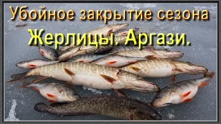 Убойное закрытие зимнего сезона на жерлицы. Аргази. Щука, окунь, налим