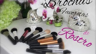 Brochas Favoritas de Rostro | Mytzi Cervantes