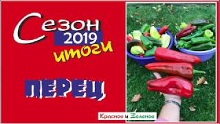 Сладкий и острый перец. Сибирь. Сорта и гибриды. Итог сезона 2019