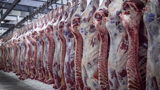 ?? Обзор : Разруб говядины (Рынок). meat cutting, meat, butcher, 肉,切肉,屠夫,猪肉,牛肉,羊肉,鸡,係食物呀！