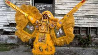 Mardi Gras Indians Down In New Orleans